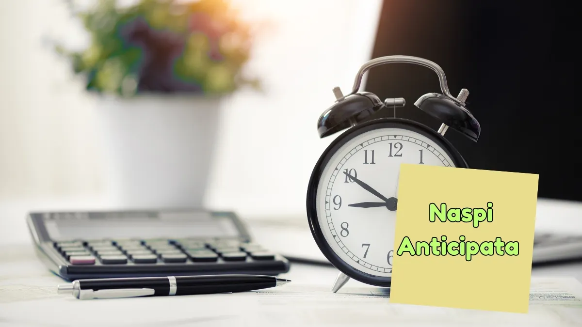 Naspi Anticipata per partita iva Naspi Anticipata